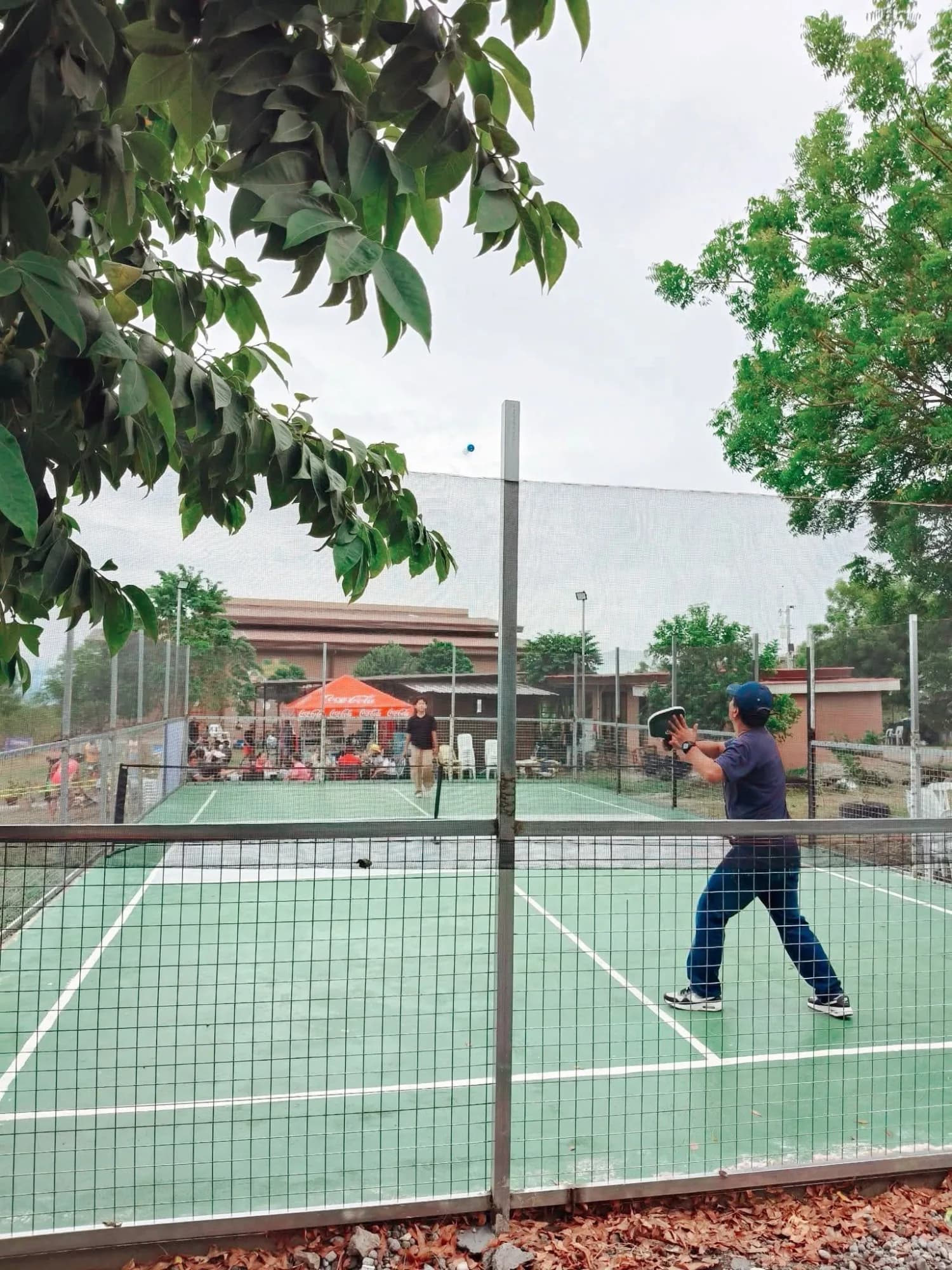 Don Ricardo Chocolate Factory - Pickleball Court