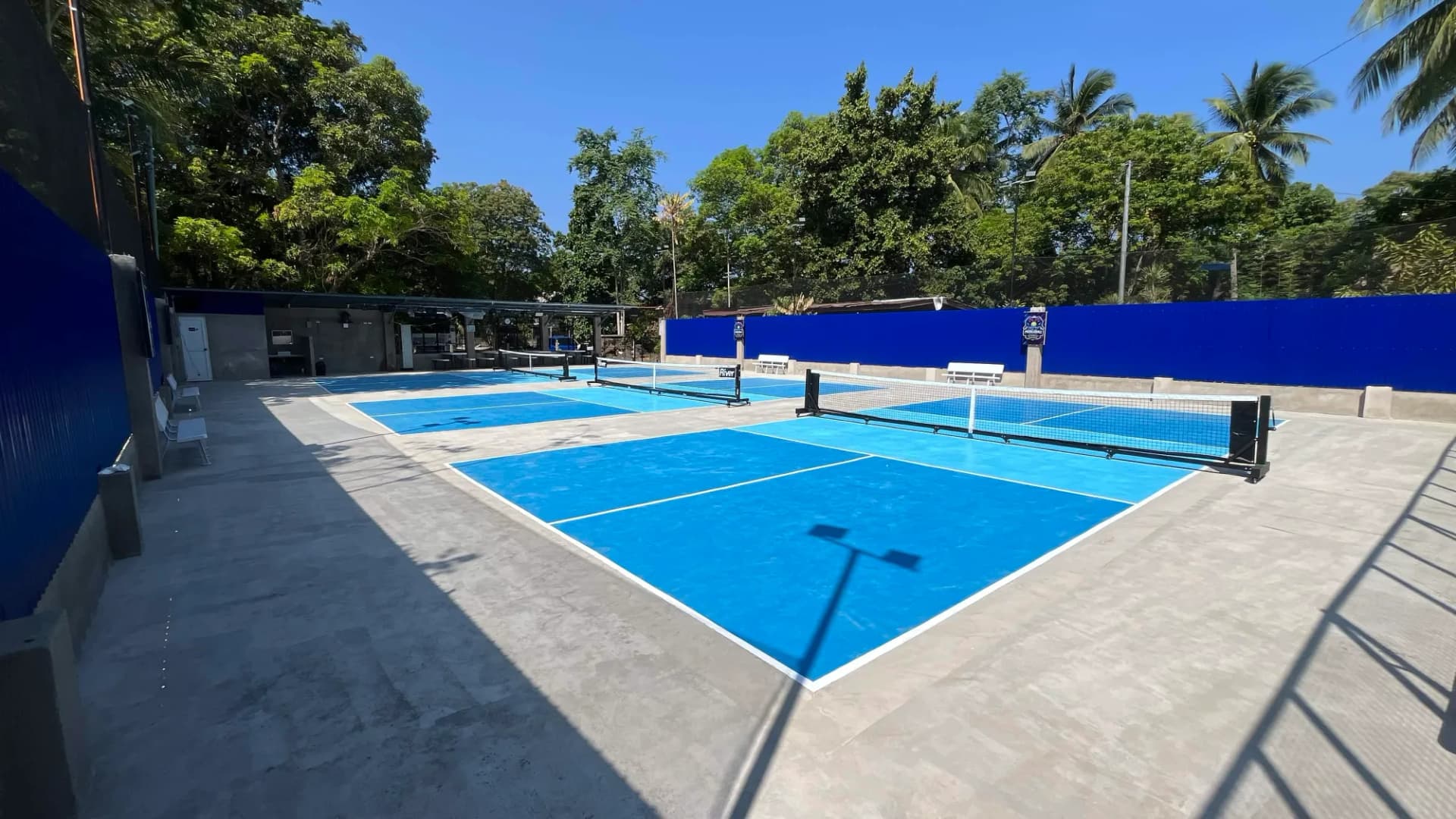 ZY Pickleball