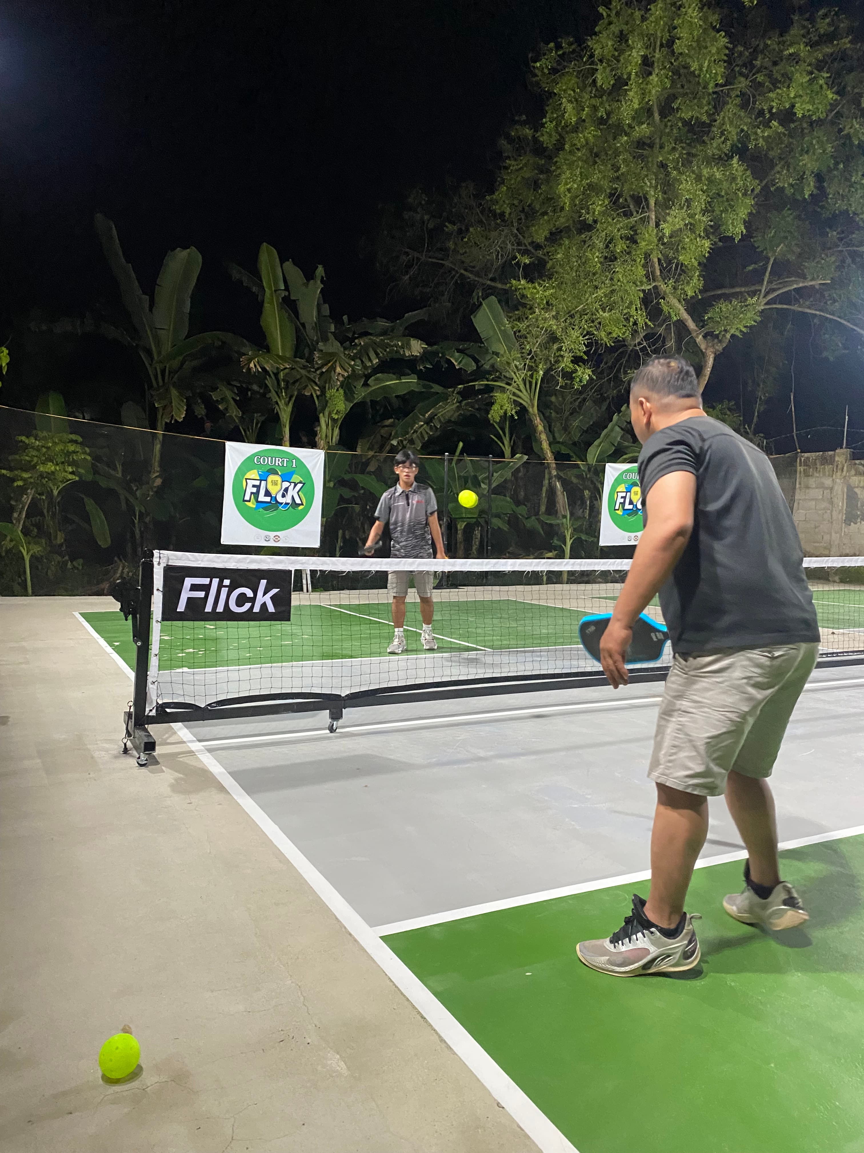 Flick Pickleball
